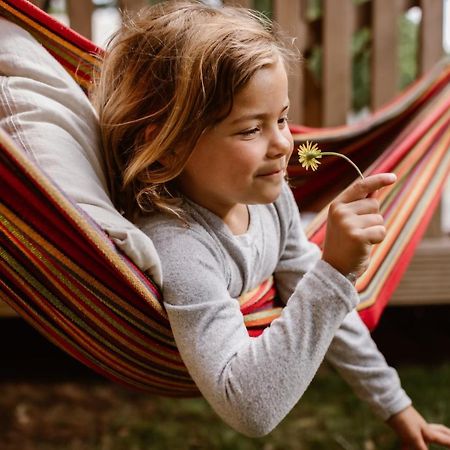 Glamping Lauwersmeer Vierhuizen 외부 사진